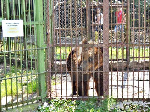 Gradina Zoologica din Baia Mare a fost inchisa (c) eMM.ro