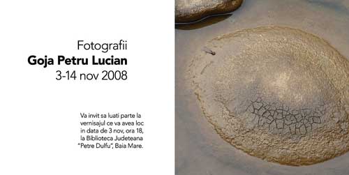 invitatie expo Lucian Petru Goja