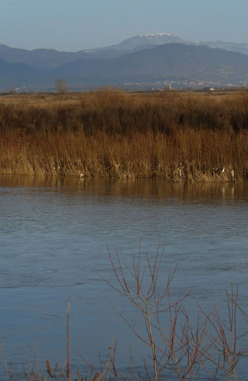 Foto vedere spre vf, Mogosa (c) eMM.ro