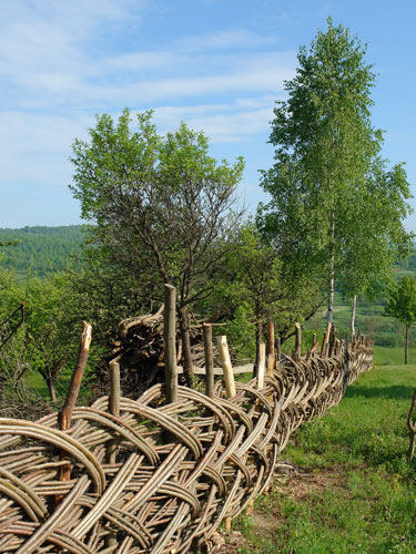 Foto armonii ancestrale (c) Petru Goja