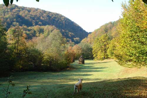 Cheila Danesti-Maramures