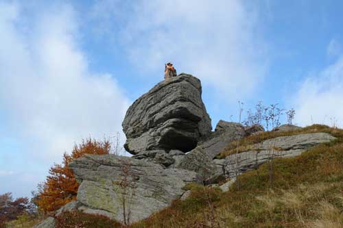 Ignis, Maramures