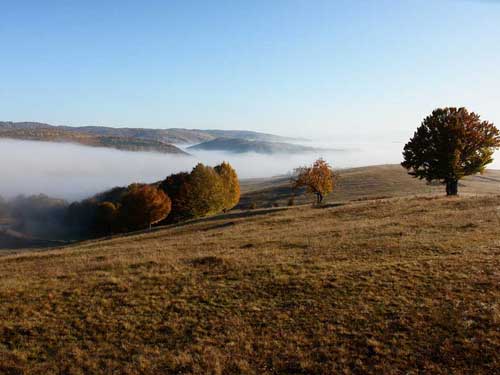 Foto Peteritea - Tara Lapusului (c) Lucian Petru Goja