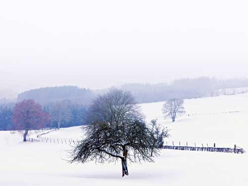 Iarna in Maramures