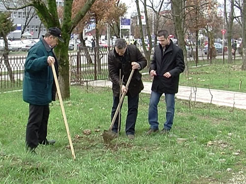 Foto: Plantari de primavara PPDD Maramures