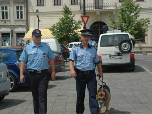 politisti patrula Baia Mare