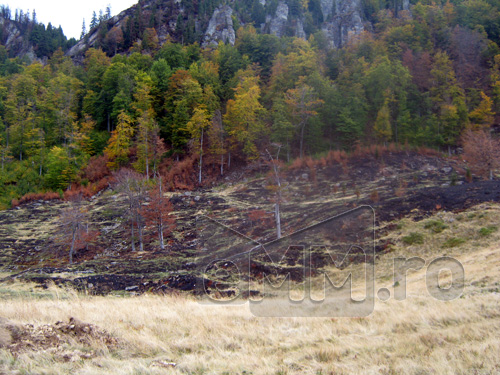 Foto: Efecte incendiu Creasta Cocosului - Maramures (c) eMaramures