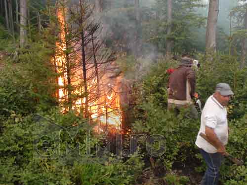 Foto: incendiu partie Cavnic (c) eMaramures.ro