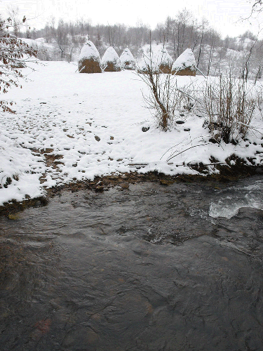 Foto peisaj Danesti (c) Petru Goja