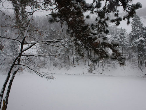 Foto Ninsoare si inghet la Lacul Albastru (c) Petru Goja