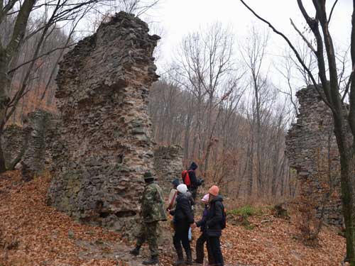 Foto Vedere dinspre NV a ruinelor (c) Petru Goja