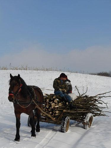 Foto cu straful pe drum (c) Petru Goja