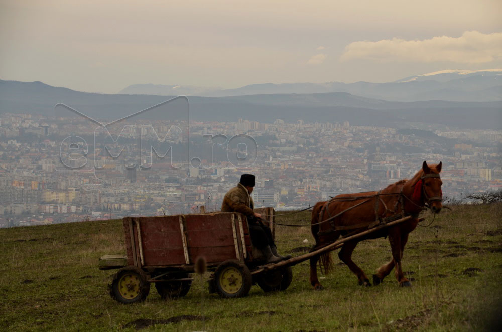 Foto: Panorama spre Cluj