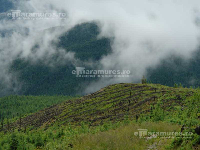 Defrisari in Maramures